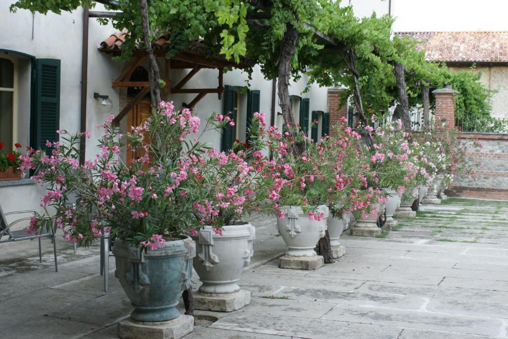 Tenuta Terensano Monleale ภายนอก รูปภาพ