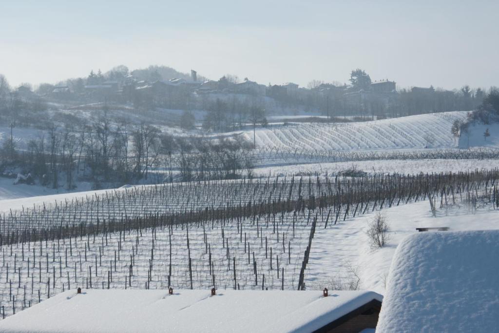 Tenuta Terensano Monleale ภายนอก รูปภาพ